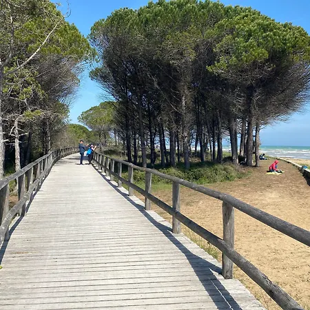 Elegant Seafront In Lejlighed