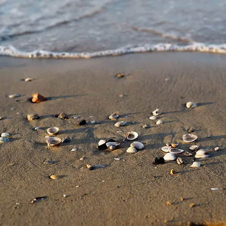Lejlighed Elegant Seafront In Bibione
