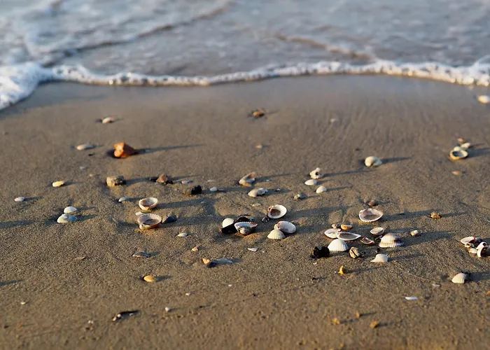 Elegant Seafront In Apartment
