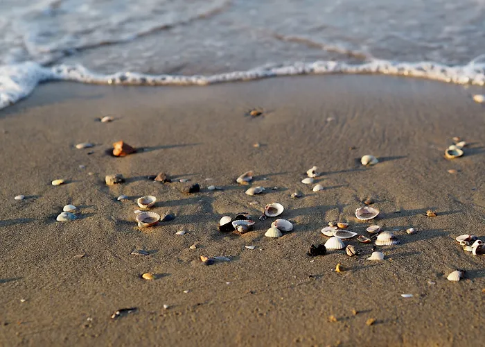 Elegant Seafront In 아파트 *